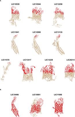 Challenges for the development of a universal vaccine against leptospirosis revealed by the evaluation of 22 vaccine candidates